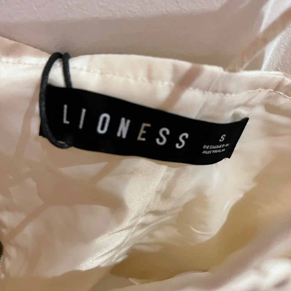 Lioness Set - Picture 6 of 9